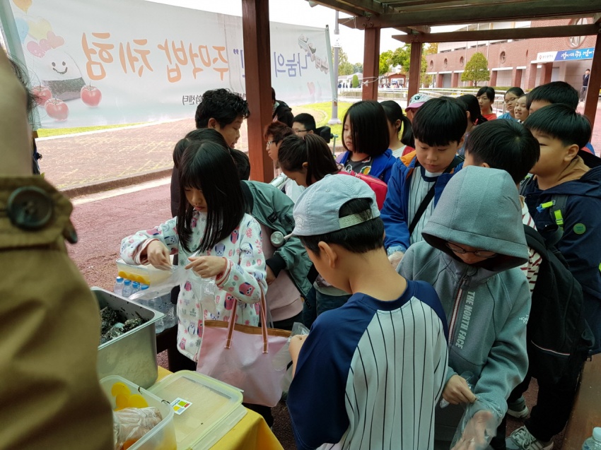 봉선초등학교 2017.10.18